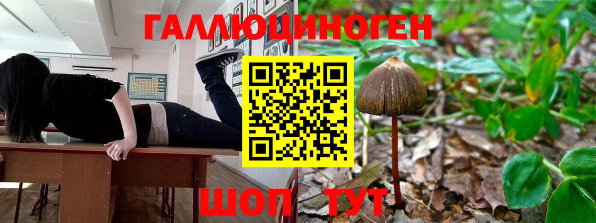 где купить наркотик  Вход с VPN  Белорецк  Галлюциногенные грибы мицелий 