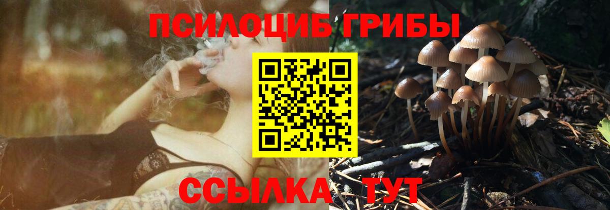 Псилоцибиновые грибы прущие грибы Белорецк